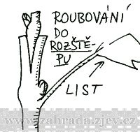 roubov�n� r�vy